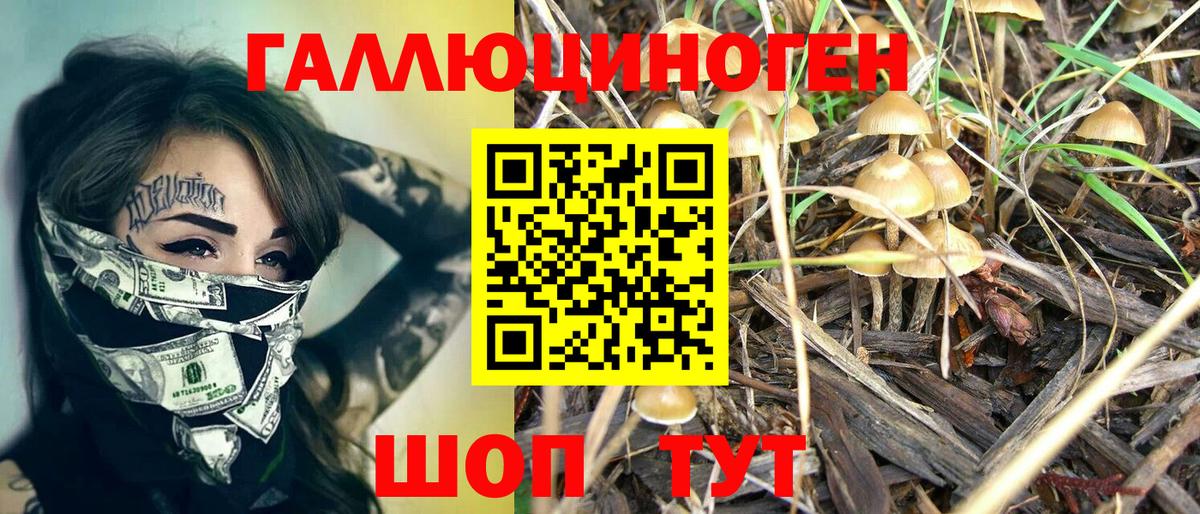 Псилоцибиновые грибы Psilocybe  Галлюциногенные грибы мицелий  Южно-Сахалинск  Вход с VPN 