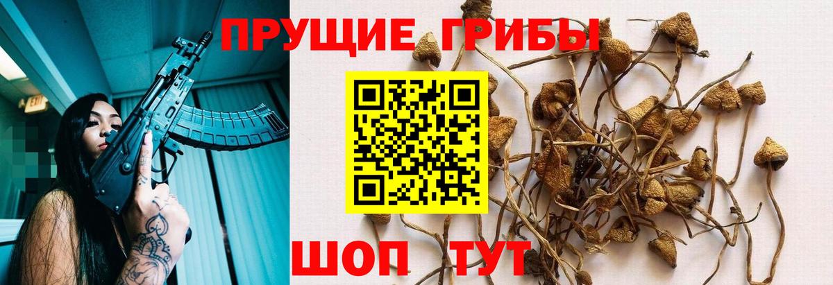 Галлюциногенные грибы прущие грибы Южно-Сахалинск